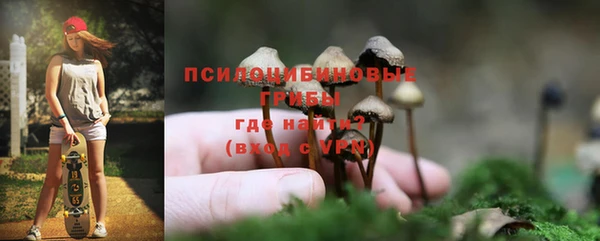 ALPHA PVP Алзамай