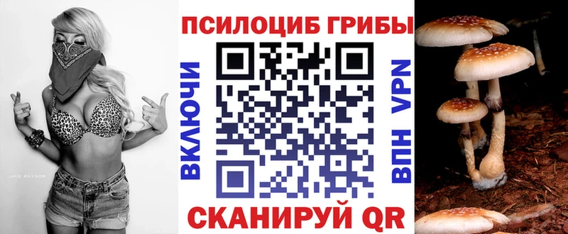 Галлюциногенные грибы прущие грибы  цены   Курск 